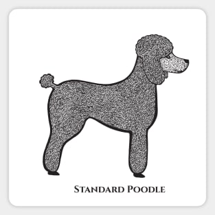 Standard Poodle with Name - detailed dog design for poodle lovers Magnet